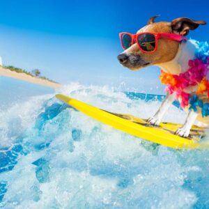 Go Cruise: Premium Travel Planning Guides